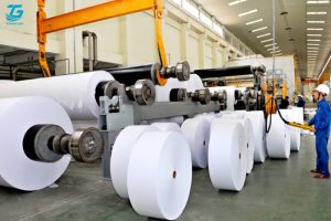 Các loại phôi giấy