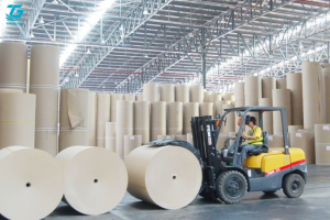 sản xuất phôi giấy vệ sinh