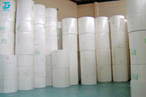 Phôi giấy cao cấp