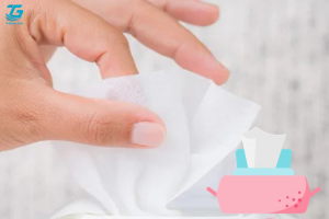 Phân biệt sự khác nhau giữa phôi giấy ướt và phôi giấy vệ sinh