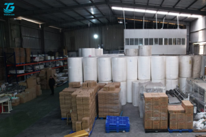 Phôi giấy vệ sinh (Toilet)