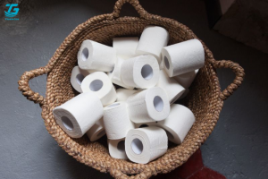 Cùng Trần Gia Paper tìm hiểu về tiêu chí xuất khẩu giấy vệ sinh sang Châu Mỹ