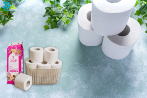 Giấy vệ sinh Hưng Yên giá tốt và an toàn cho sức khỏe