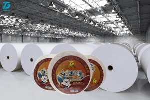 Giấy vệ sinh công nghiệp Hà Nam Giá Cạnh Tranh An Toàn Cho Người Sử Dụng