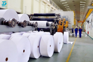 Giấy vệ sinh công nghiệp Ninh Bình chất lượng cao giá tốt